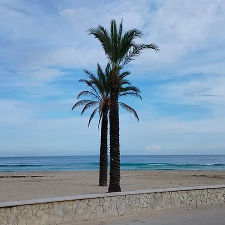 Stella Del Sud