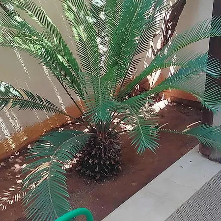 Stella Del Sud דירה *